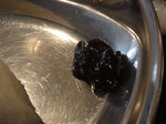 カトマンズ カフェ TAAL
