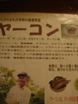 DSC01093.jpg