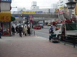 DSC01560.jpg
