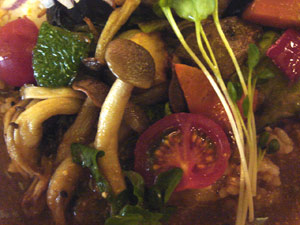DSC01570.jpg