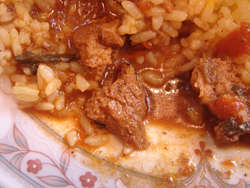 DSC02337.jpg